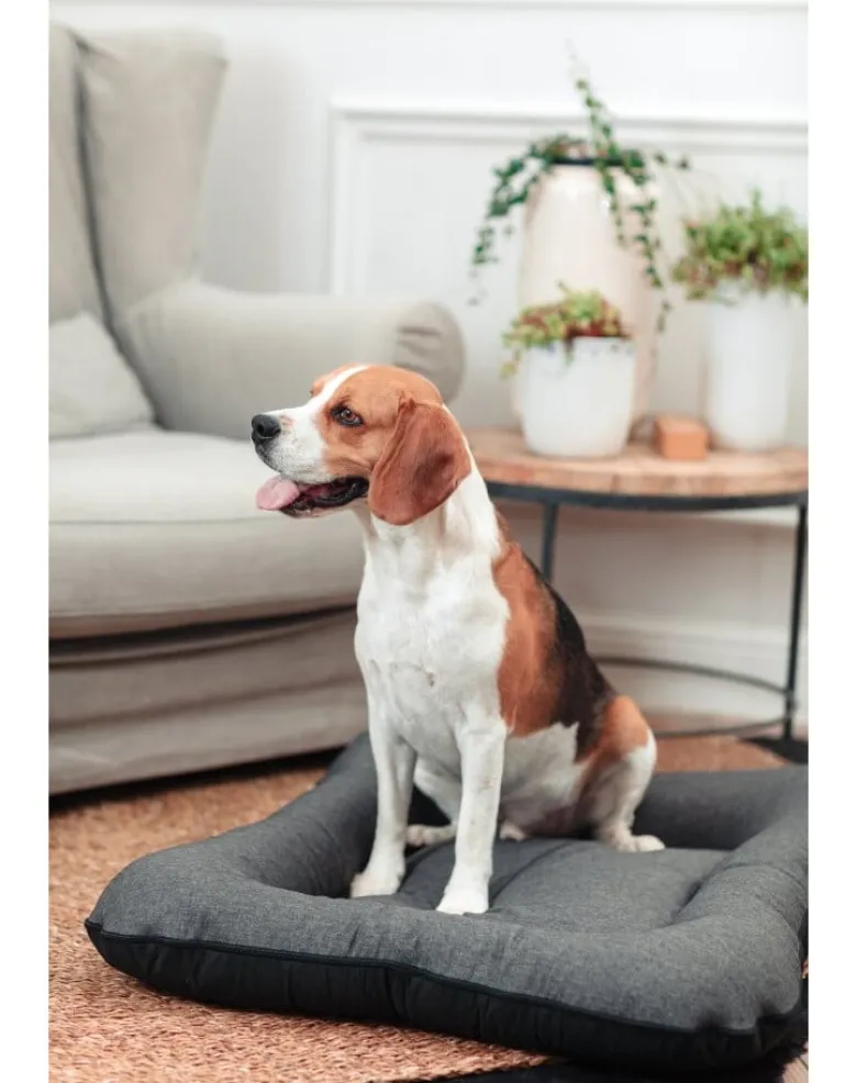 FERA Sunset Ponton letto per cani S 70 x 46 cm