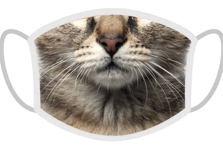 FERA 3x Mascherina Gatto