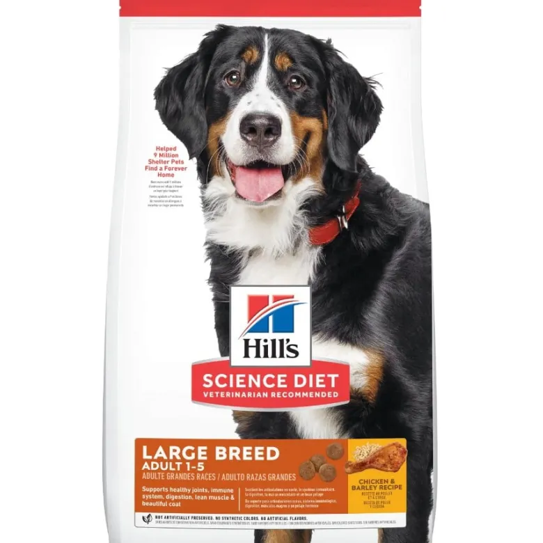 HILL'S Science Plan Adult Dog Large Dry Chicken 28 kg (2x14 kg)