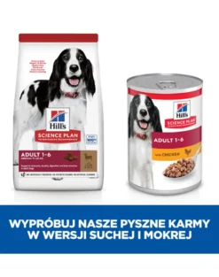 HILL'S Science Plan Canine Adult Medium Lamb & Rice 18 kg cibo per cani di razza media agnello e riso
