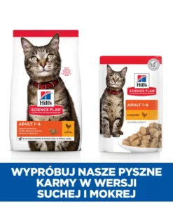 HILL'S Science Plan Feline Adult Chicken 10 kg