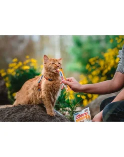 INABA Churu Cat Crema di pollo per gatti 56 g