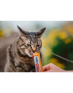 INABA Churu Cat Crema di pollo per gatti 56 g