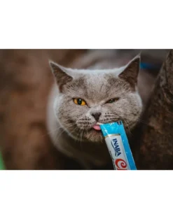 INABA Churu Cat crema per gatti tonno e capesante 56 g