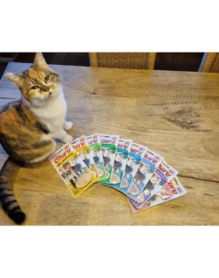 INABA Churu Cat croccantini cremosi al tonno e salmone 56 g
