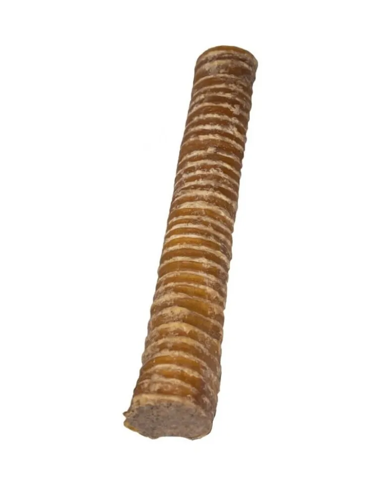 MACED 100 % Natura Trachea Grande Ripiena con anatra per cani 150 g