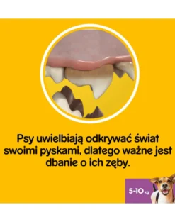 PEDIGREE DentaStix (razze piccole) Snack per cani 112 pz. - 16x110g