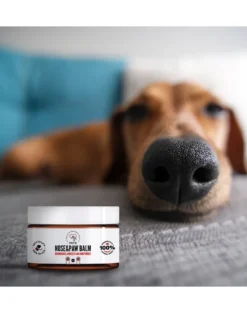 PETS Nose & Paw Balm balsamo per la cura del naso e delle zampe 75 ml