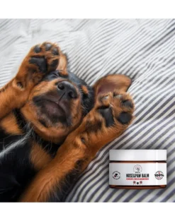 PETS Nose & Paw Balm balsamo per la cura del naso e delle zampe 75 ml