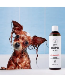 PETS Shampoo Camomile shampoo per pelli sensibili 250 ml