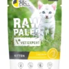 RAW PALEO Monoprotein Kitten Chicken 100 g per gattini con pollo