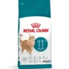 ROYAL CANIN Ageing 11+ 4 kg per gatti maturi oltre 11 anni