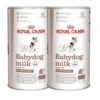 ROYAL CANIN Babydog Milk 400 g x 2