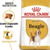 ROYAL CANIN Beagle adult 12 kg