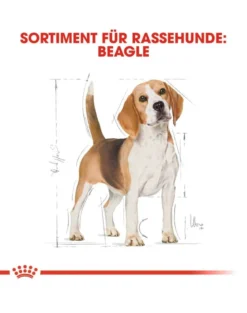 ROYAL CANIN Beagle Adult 24kg (2x12kg)