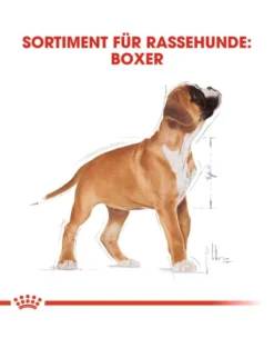 ROYAL CANIN Boxer 30 junior 12 kg