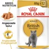 ROYAL CANIN British Shorthair 85 g bustina 12 x 85 g