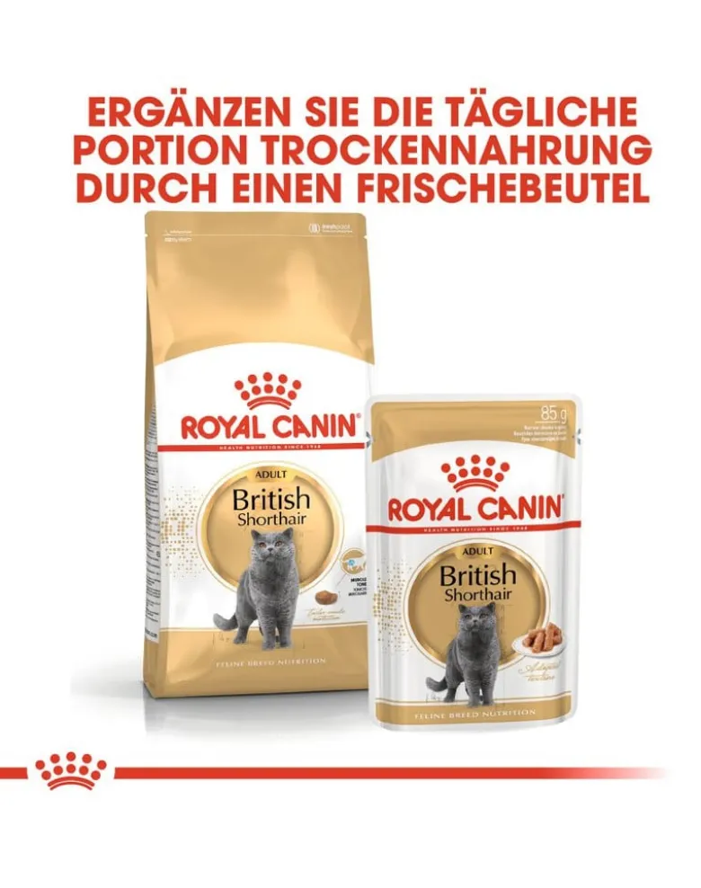 ROYAL CANIN British Shorthair 85 g bustina 12 x 85 g