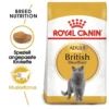 ROYAL CANIN British shorthair 34 10 kg