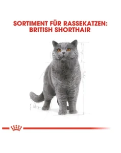 ROYAL CANIN British shorthair 34 10 kg