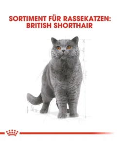 ROYAL CANIN British shorthair 34 2kg