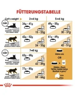 ROYAL CANIN British Shorthair 0.4 kg