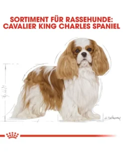 ROYAL CANIN Cavalier King Charles adult 1.5 kg