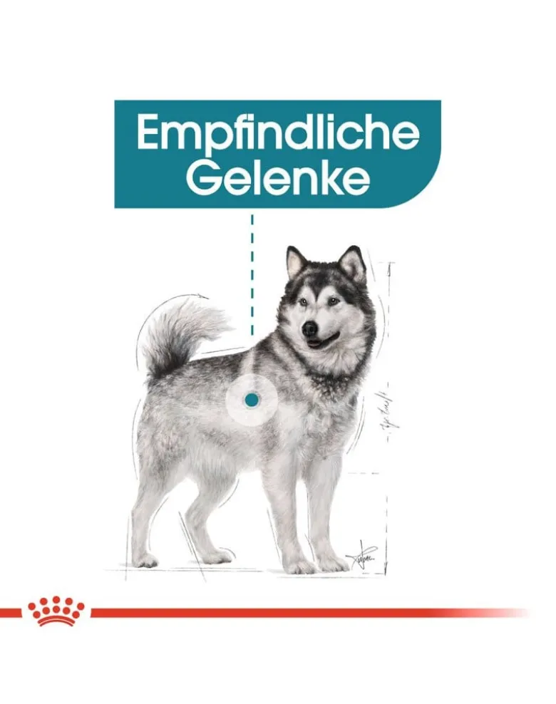 ROYAL CANIN CCN Maxi Joint Care 20 kg (2 x 10 kg)