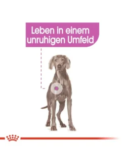 ROYAL CANIN CCN Maxi Relax Care crocchette secche per cani adulti di taglia grande, esposti a stress 9 kg
