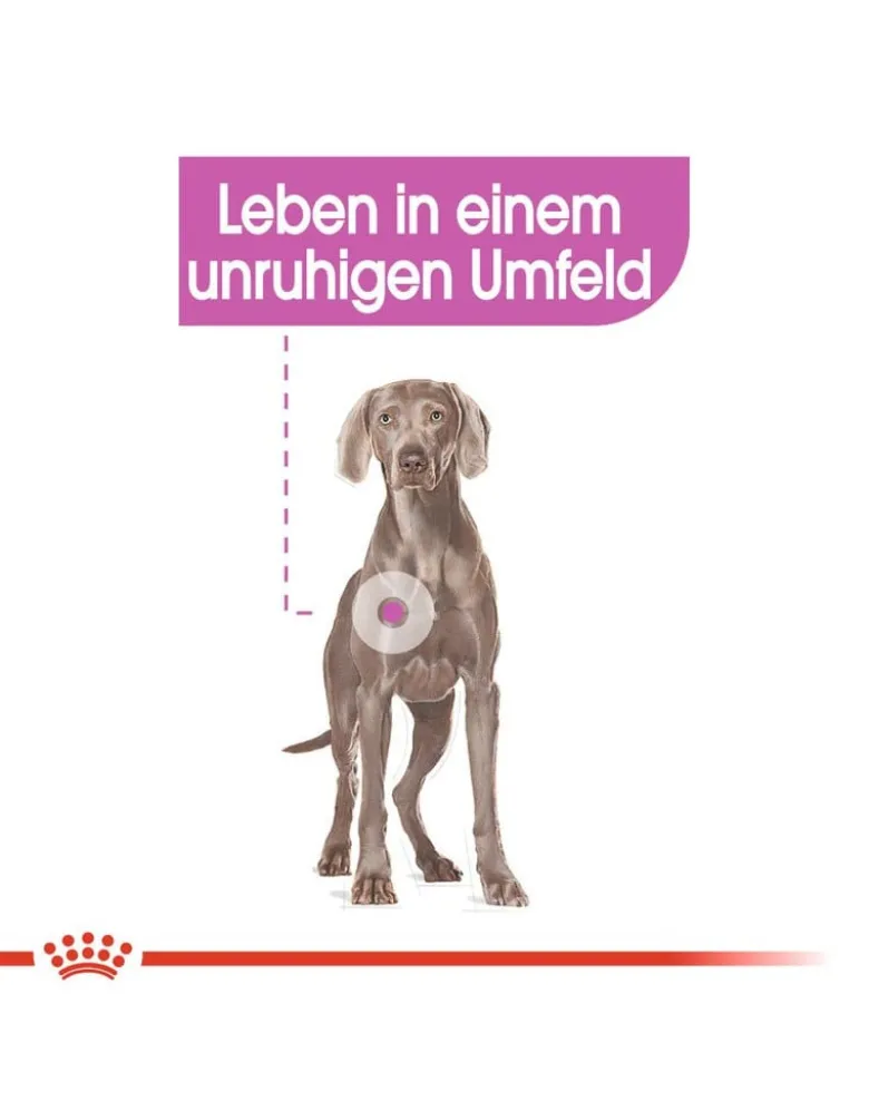 ROYAL CANIN CCN Maxi Relax 18 kg (2 x 9 kg)