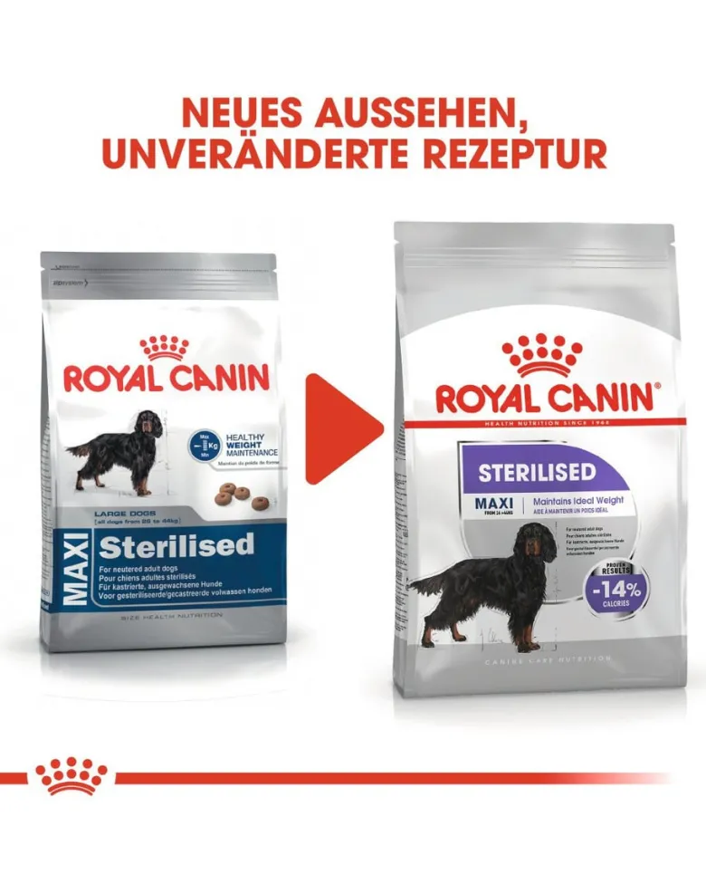 ROYAL CANIN CCN Maxi Sterilised crocchette secche per cani adulti di taglia grande, sterilizzati 3 kg