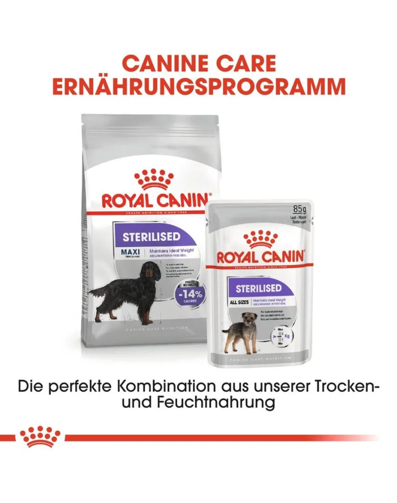 ROYAL CANIN CCN Maxi Sterilised crocchette secche per cani adulti di taglia grande, sterilizzati 3 kg