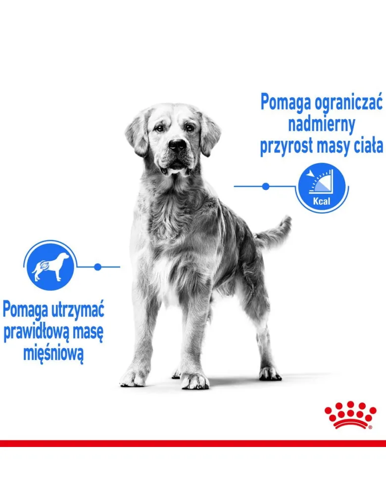 ROYAL CANIN CCN Medium Lightweight Care 12kg