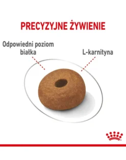 ROYAL CANIN CCN Medium Lightweight Care 12kg