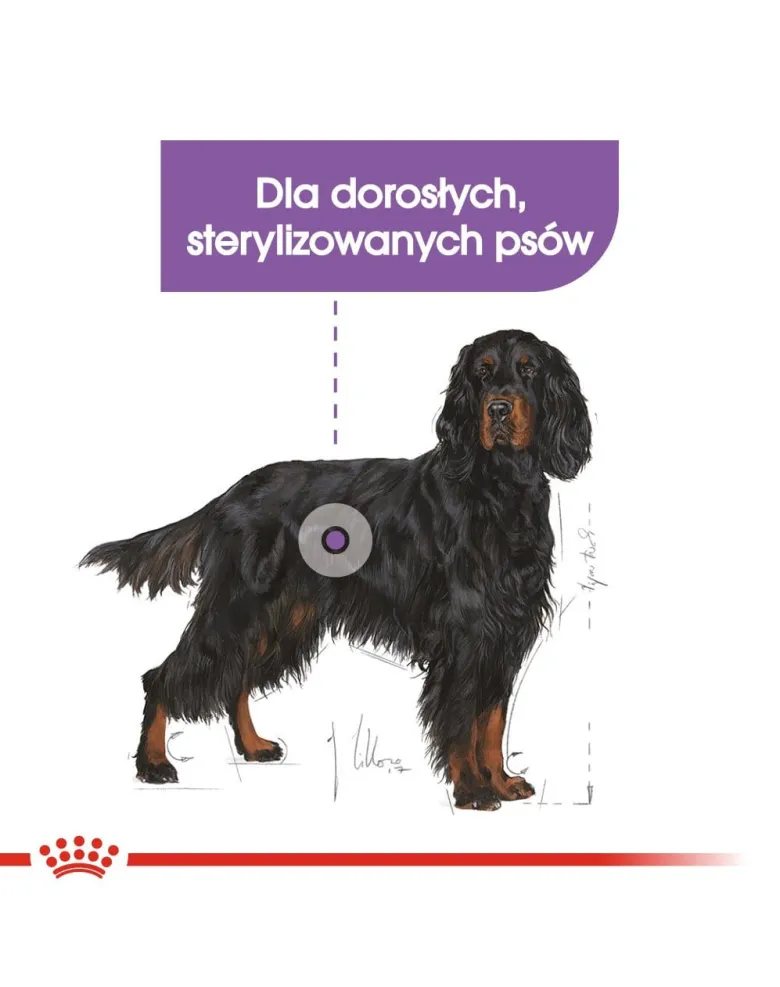 ROYAL CANIN CCN Medium Sterilised Adult 12kg