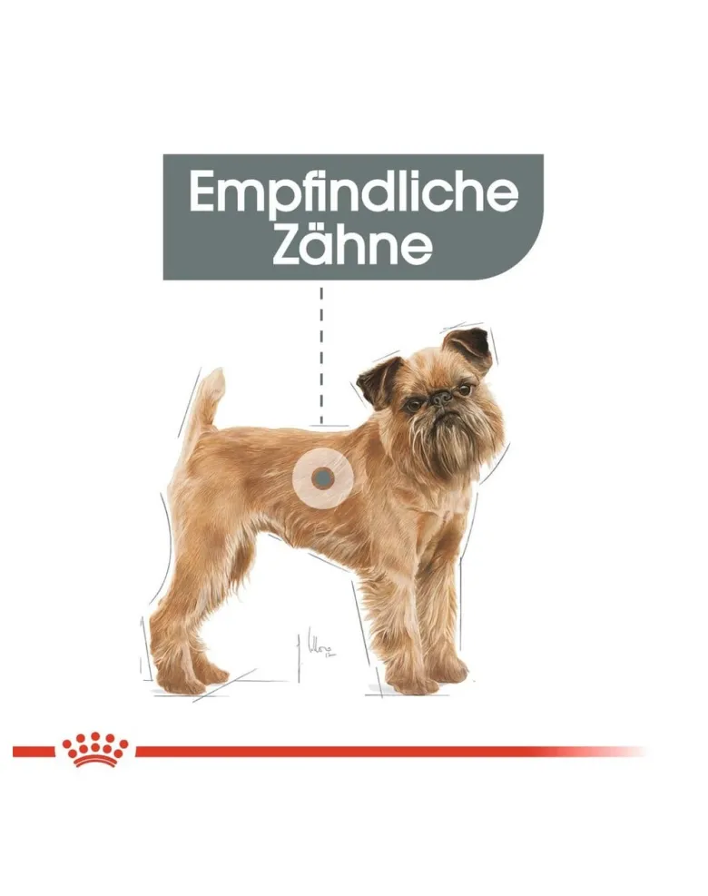 ROYAL CANIN CCN Mini Dental Care16 kg (2x8kg)