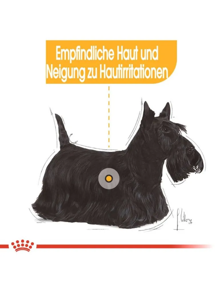 ROYAL CANIN CCN Mini Dermacomfort 16kg (2x8kg)