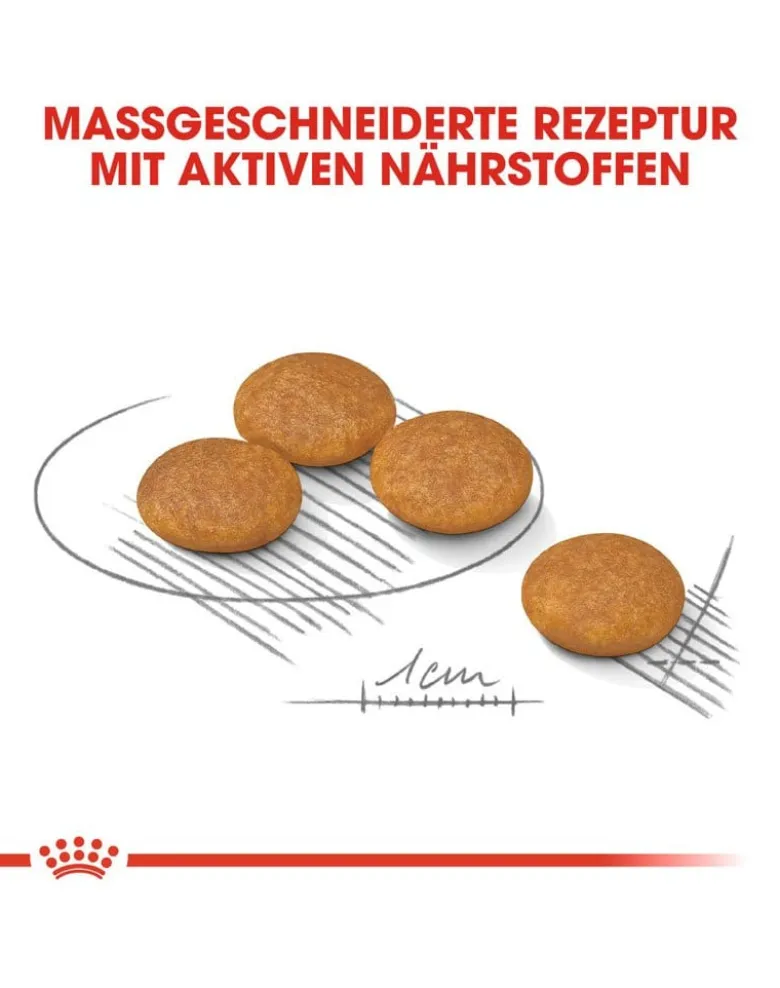 ROYAL CANIN CCN Mini Dermacomfort 16kg (2x8kg)