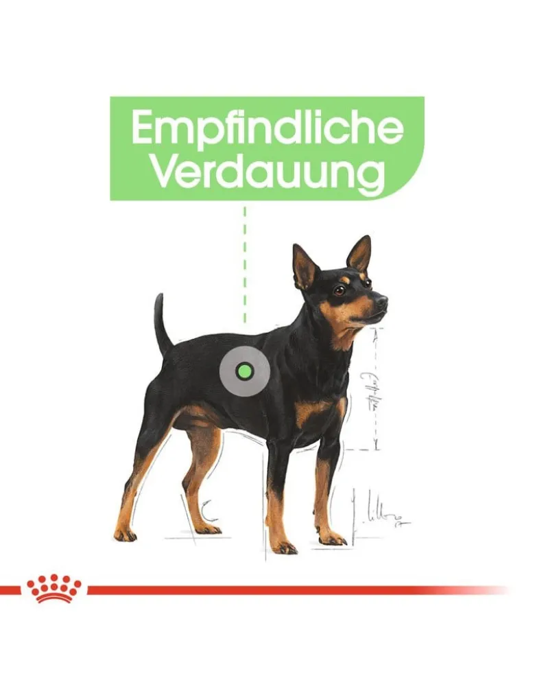 ROYAL CANIN CCN Mini Digestive Care 16kg (2x8kg)