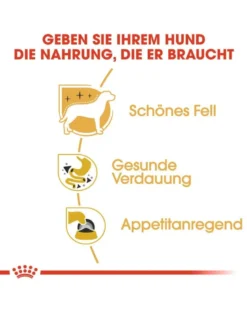 ROYAL CANIN Chihuahua Adult 12 x 85g