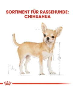 ROYAL CANIN Chihuahua Adult 4x12x85g cibo umido specifico per cani Chihuahua adulti