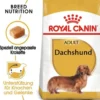 ROYAL CANIN Dachshund 15kg (2x7.5kg)