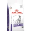 ROYAL CANIN Dental Dog Medium and Large 6 kg