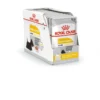 ROYAL CANIN Dermacomfort paté per cani adulti con pelle sensibile e irritabile 24 x 85 g