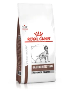 ROYAL CANIN Dog Gastrointestinal moderate calorie 2kg
