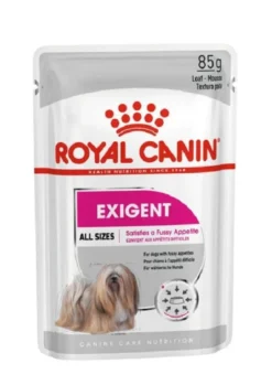 ROYAL CANIN Exigent paté per cani adulti e schizzinosi 48 x 85 g