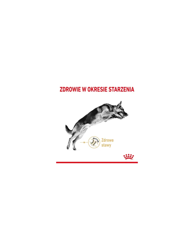 ROYAL CANIN German Shepherd Adult 5+ 12 kg