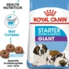 ROYAL CANIN Giant Starter Mother&Babydog 30kg (2x15kg)