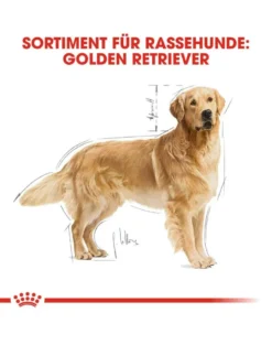 ROYAL CANIN Golden retriever adult 12 kg