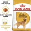 ROYAL CANIN Golden Retriever Adult 24kg (2x12kg)